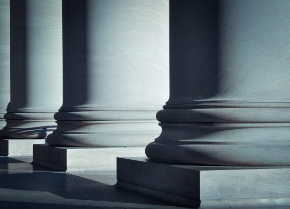 Immigration Updates: August 25 – August 29