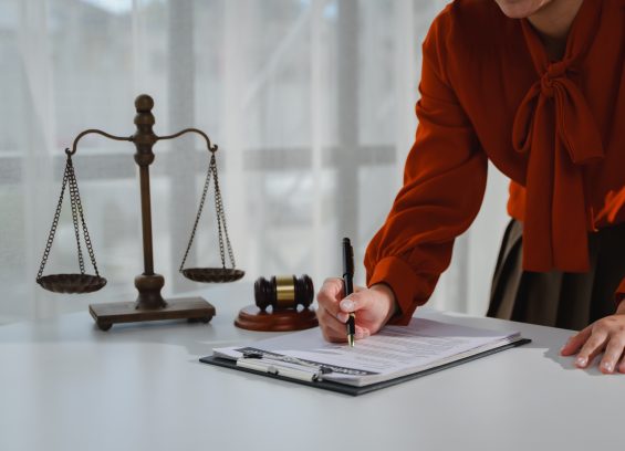 What is a Mandamus Petition?